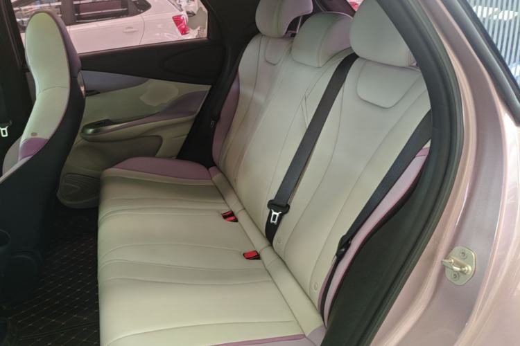 Used BYD Dolphin 2021 405 km Fashion Edition Left Rear Seat