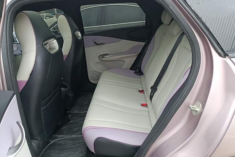 Used BYD Dolphin 2021 405 km Fashion Edition Left Rear Seat