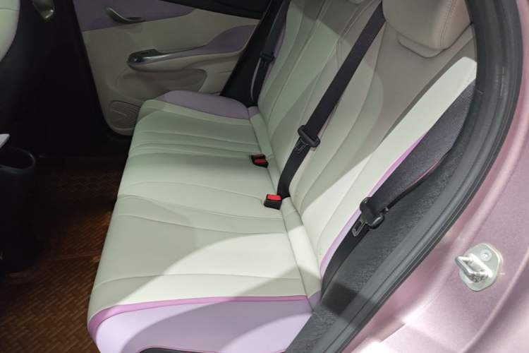 Used BYD Dolphin 2021 405 km Fashion Edition Left Rear Seat