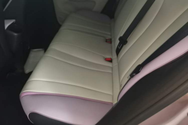 Used BYD Dolphin 2021 405 km Fashion Edition Left Rear Seat