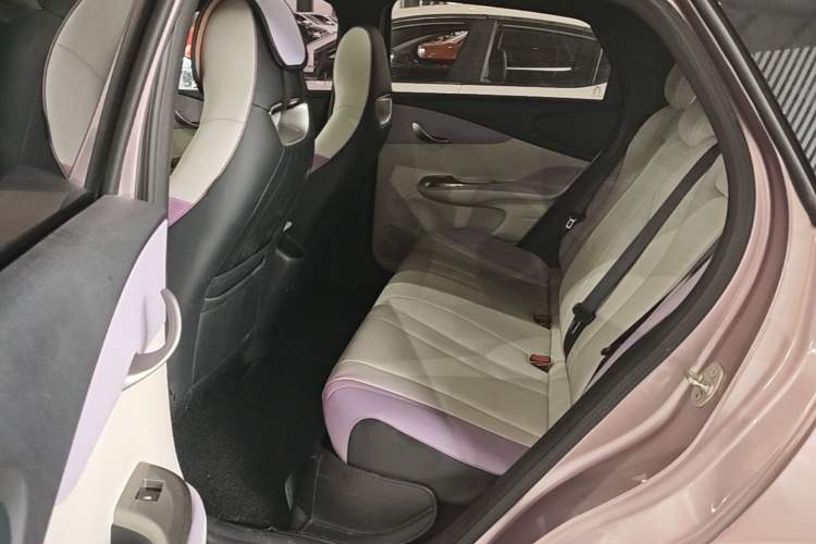 Used BYD Dolphin 2021 405 km Free Version Left Rear Seat
