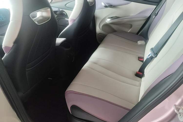 Used BYD Dolphin 2021 405 km Fashion Edition Left Rear Seat