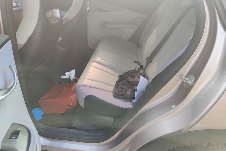 Used BYD Dolphin 2021 405 km Fashion Edition Left Rear Seat