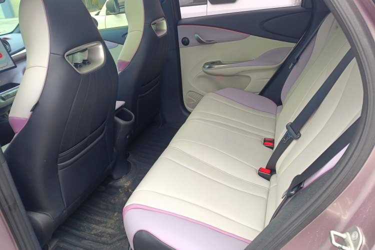 Used BYD Dolphin 2021 405 km Fashion Edition Left Rear Seat