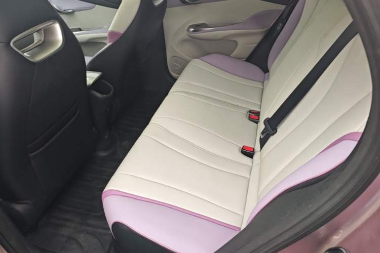 Used BYD Dolphin 2021 405 km Fashion Edition Left Rear Seat