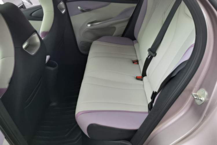 Used BYD Dolphin 2021 401km Knight Edition Left Rear Seat