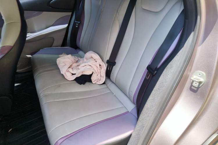 Used BYD Dolphin 2021 405 km Fashion Edition Left Rear Seat
