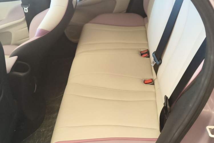Used BYD Dolphin 2021 405 km Fashion Edition Left Rear Seat