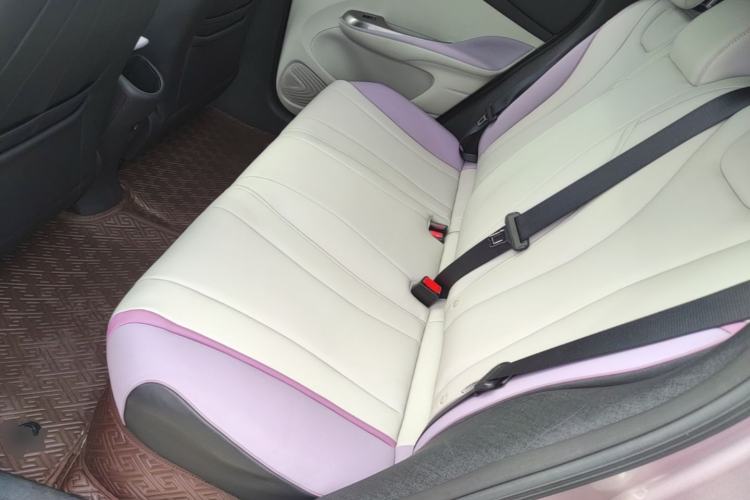 Used BYD Dolphin 2021 405 km Fashion Edition Left Rear Seat
