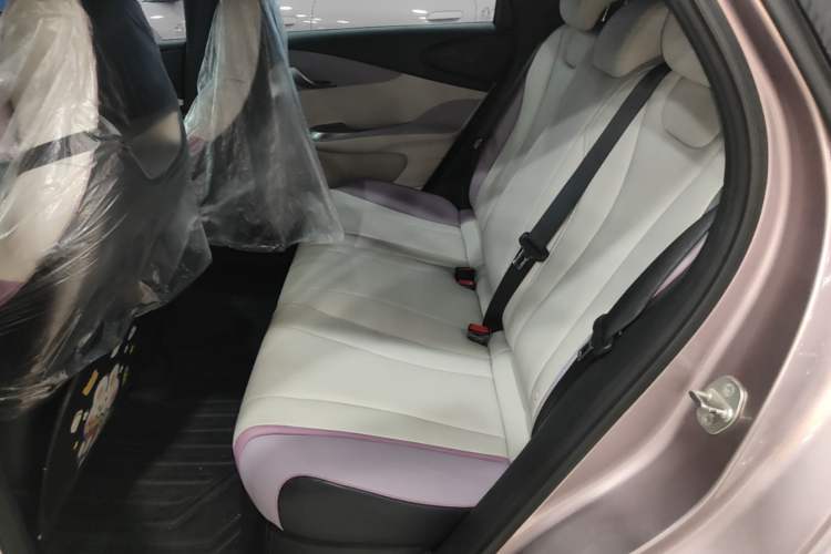 Used BYD Dolphin 2021 405 km Fashion Edition Left Rear Seat