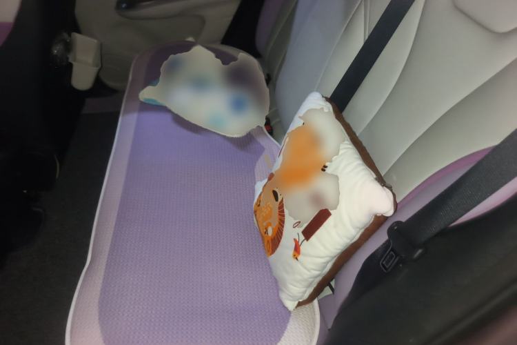 Used BYD Dolphin 2021 405 km Free Version Left Rear Seat