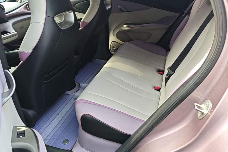 Used BYD Dolphin 2021 405 km Fashion Edition Left Rear Seat