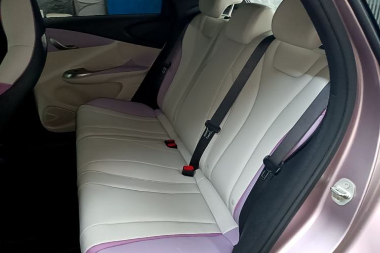 Used BYD Dolphin 2021 405 km Fashion Edition Left Rear Seat