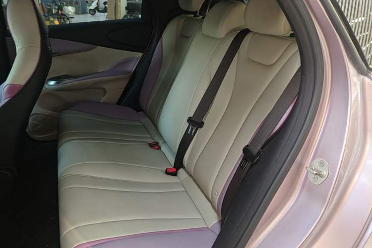Used BYD Dolphin 2021 401km Knight Edition Left Rear Seat