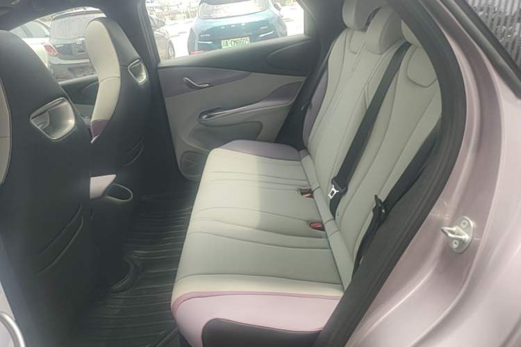 Used BYD Dolphin 2021 401km Knight Edition Left Rear Seat