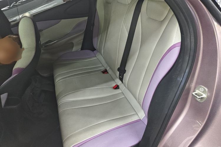 Used BYD Dolphin 2021 405 km Fashion Edition Left Rear Seat