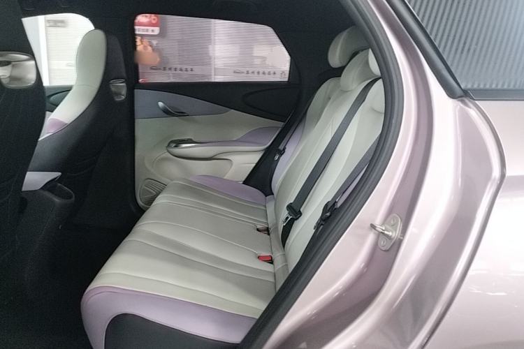 Used BYD Dolphin 2021 405 km Fashion Edition Left Rear Seat