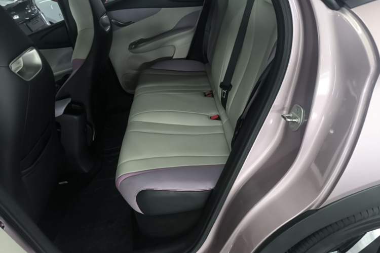 Used BYD Dolphin 2021 405 km Fashion Edition Left Rear Seat