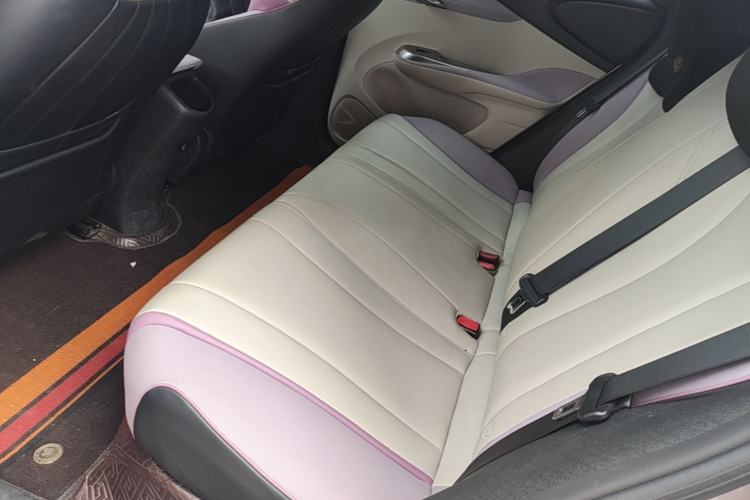 Used BYD Dolphin 2021 405 km Fashion Edition Left Rear Seat
