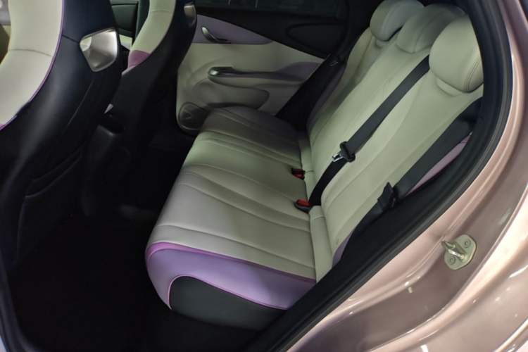 Used BYD Dolphin 2021 401km Knight Edition Left Rear Seat
