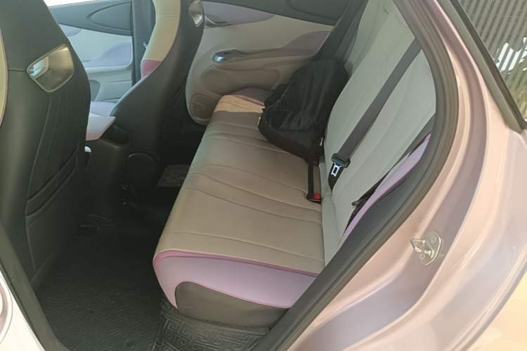 Used BYD Dolphin 2021 405 km Free Version Left Rear Seat