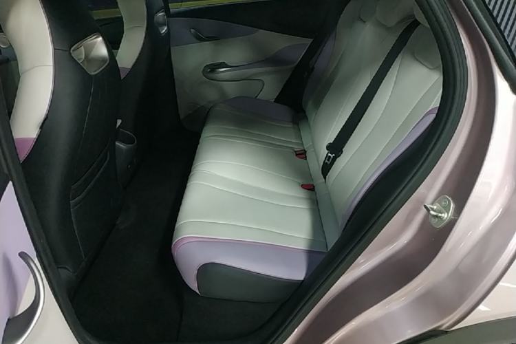 Used BYD Dolphin 2021 405 km Fashion Edition Left Rear Seat