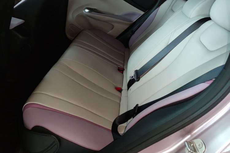 Used BYD Dolphin 2021 401km Knight Edition Left Rear Seat