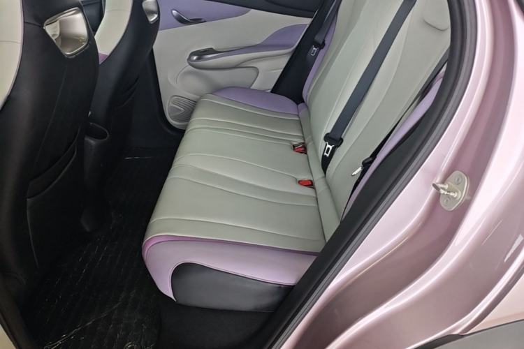 Used BYD Dolphin 2021 405 km Fashion Edition Left Rear Seat