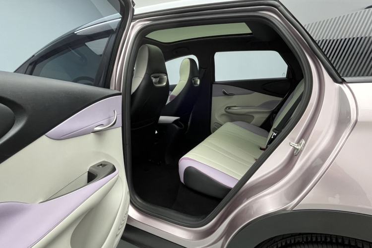 Used BYD Dolphin 2021 405 km Fashion Edition Left Rear Seat