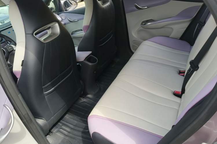 Used BYD Dolphin 2021 405 km Fashion Edition Left Rear Seat