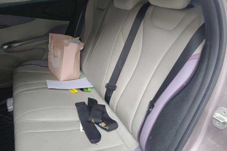 Used BYD Dolphin 2021 405 km Fashion Edition Left Rear Seat