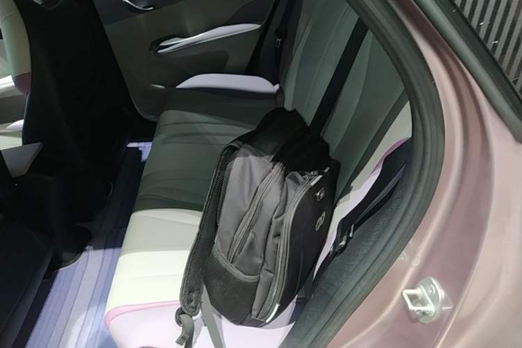 Used BYD Dolphin 2021 401km Knight Edition Left Rear Seat