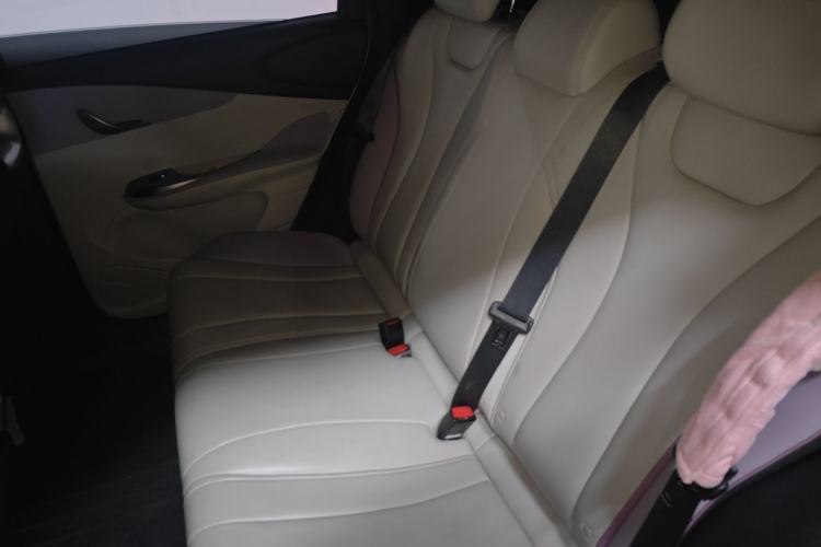 Used BYD Dolphin 2021 405 km Fashion Edition Left Rear Seat