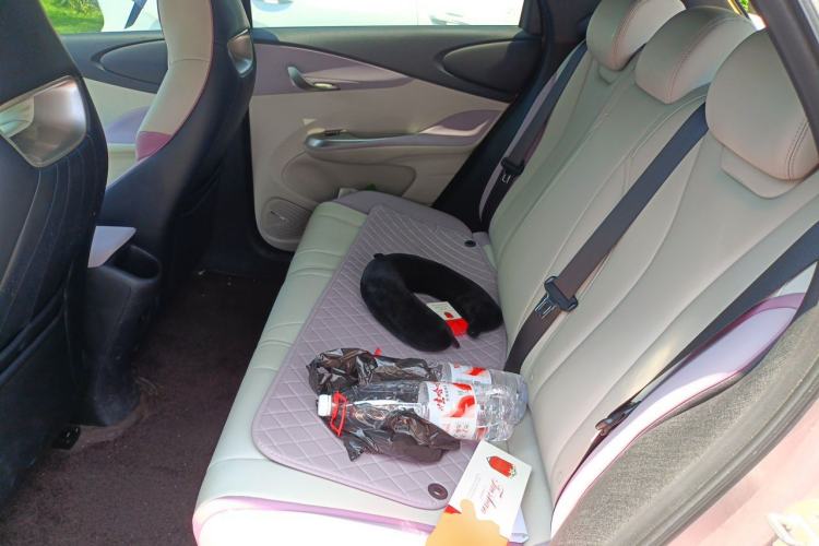 Used BYD Dolphin 2021 405 km Fashion Edition Left Rear Seat
