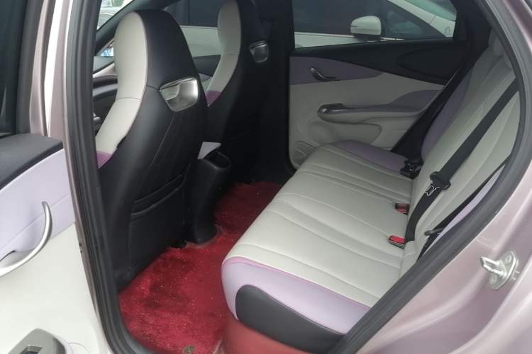 Used BYD Dolphin 2021 405 km Fashion Edition Left Rear Seat