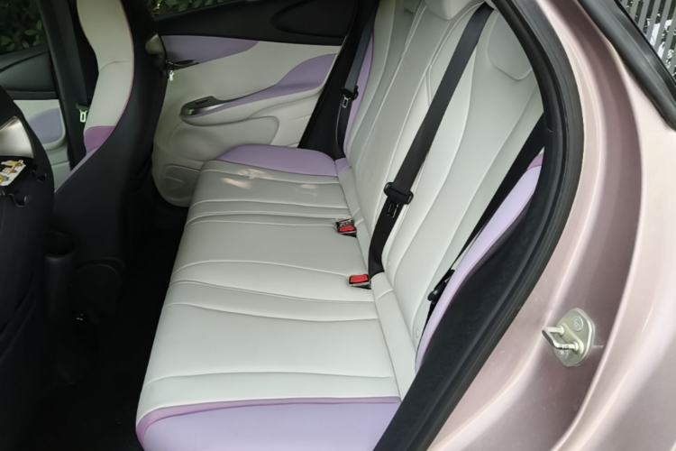 Used BYD Dolphin 2021 401km Knight Edition Left Rear Seat