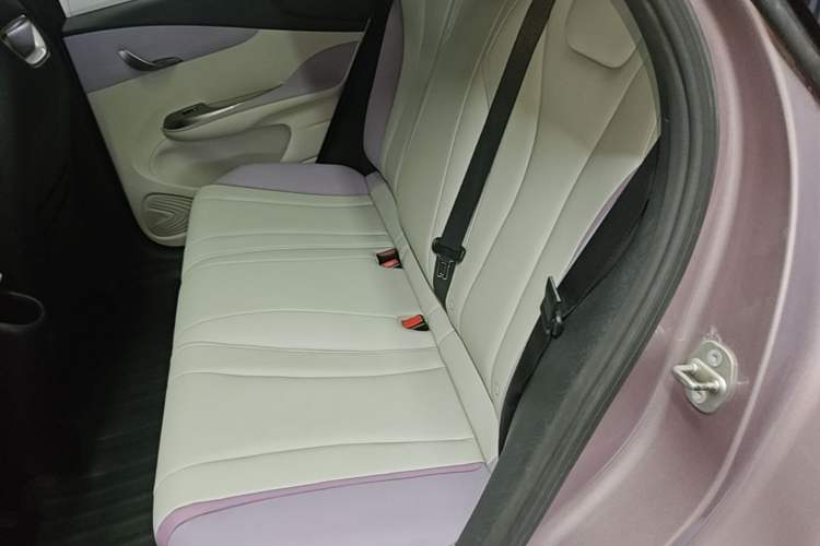 Used BYD Dolphin 2021 405 km Fashion Edition Left Rear Seat