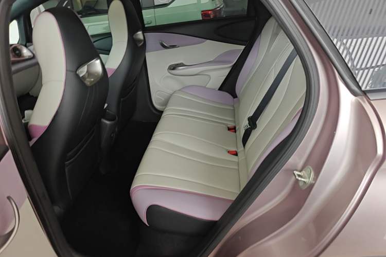 Used BYD Dolphin 2021 401km Knight Edition Left Rear Seat