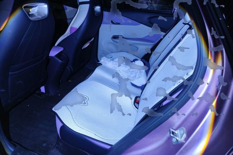 Used BYD Dolphin 2021 401km Knight Edition Left Rear Seat