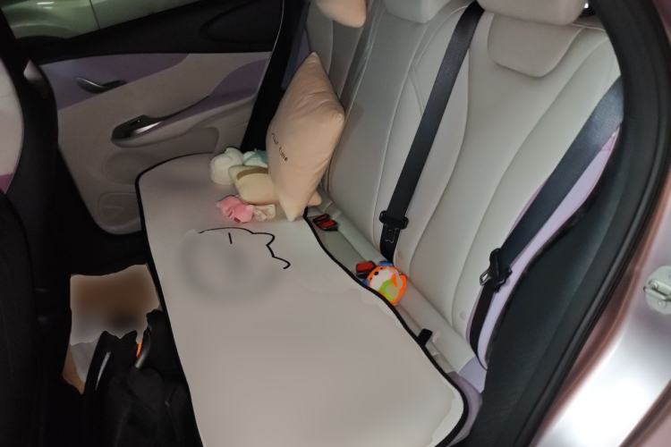 Used BYD Dolphin 2021 405 km Fashion Edition Left Rear Seat