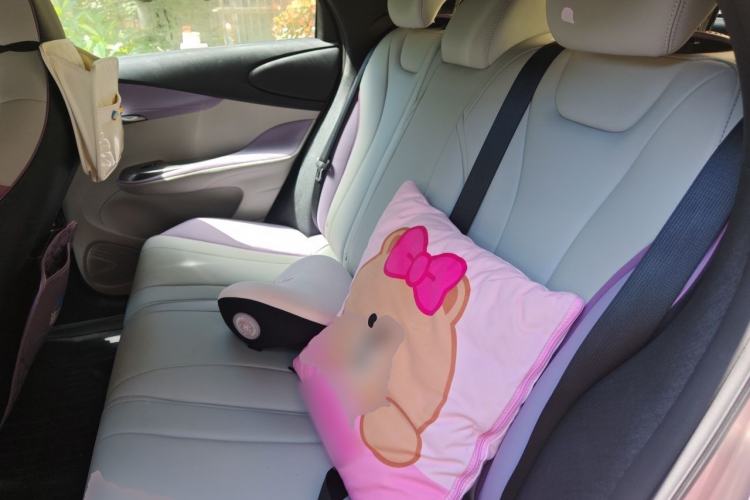 Used BYD Dolphin 2021 405 km Fashion Edition Left Rear Seat