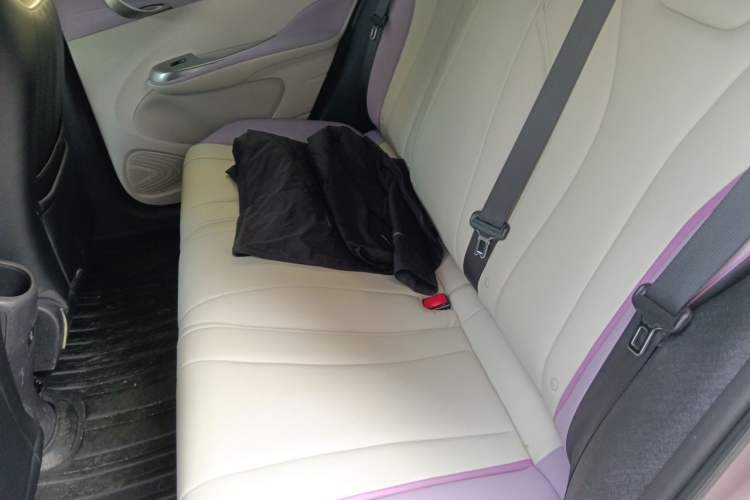 Used BYD Dolphin 2021 405 km Fashion Edition Left Rear Seat