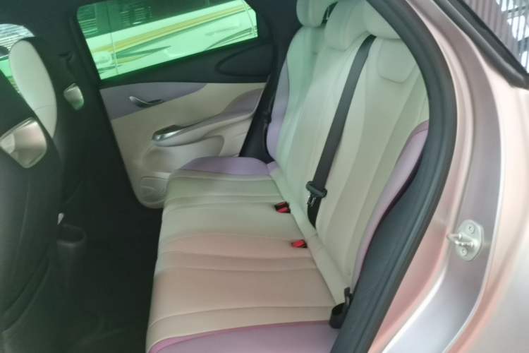 Used BYD Dolphin 2021 405 km Fashion Edition Left Rear Seat