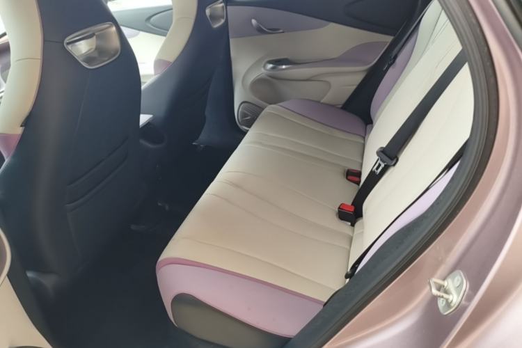 Used BYD Dolphin 2021 405 km Fashion Edition Left Rear Seat