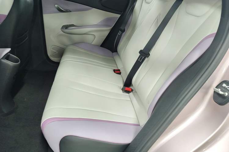 Used BYD Dolphin 2021 401km Knight Edition Left Rear Seat