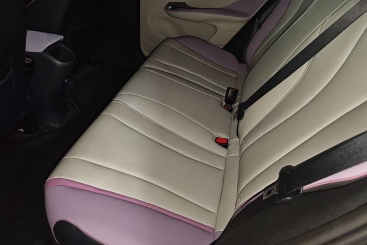 Used BYD Dolphin 2021 405 km Fashion Edition Left Rear Seat
