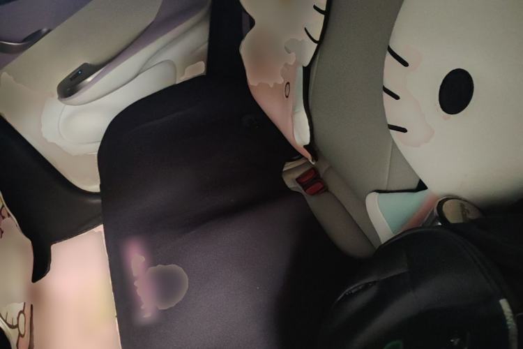 Used BYD Dolphin 2021 405 km Fashion Edition Left Rear Seat