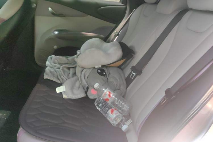Used BYD Dolphin 2021 405 km Fashion Edition Left Rear Seat