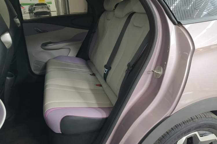 Used BYD Dolphin 2021 405 km Free Version Left Rear Seat