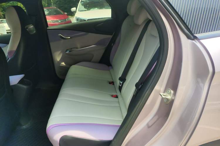 Used BYD Dolphin 2021 405 km Fashion Edition Left Rear Seat